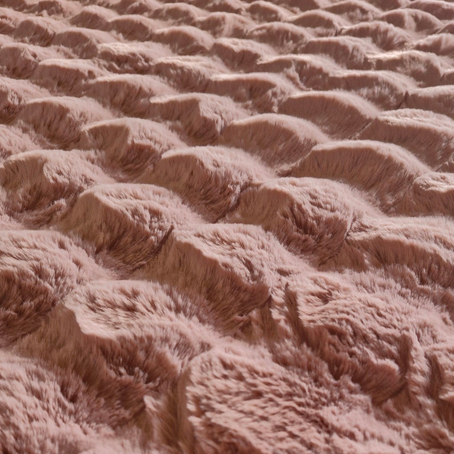  באני שאגי ורוד